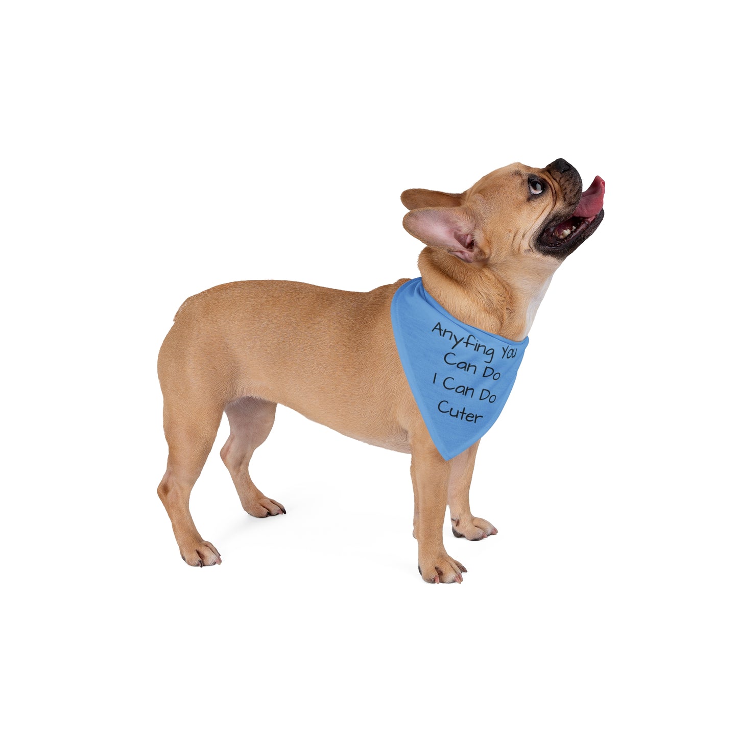 Anyfing You Can Do - Blue Bandana