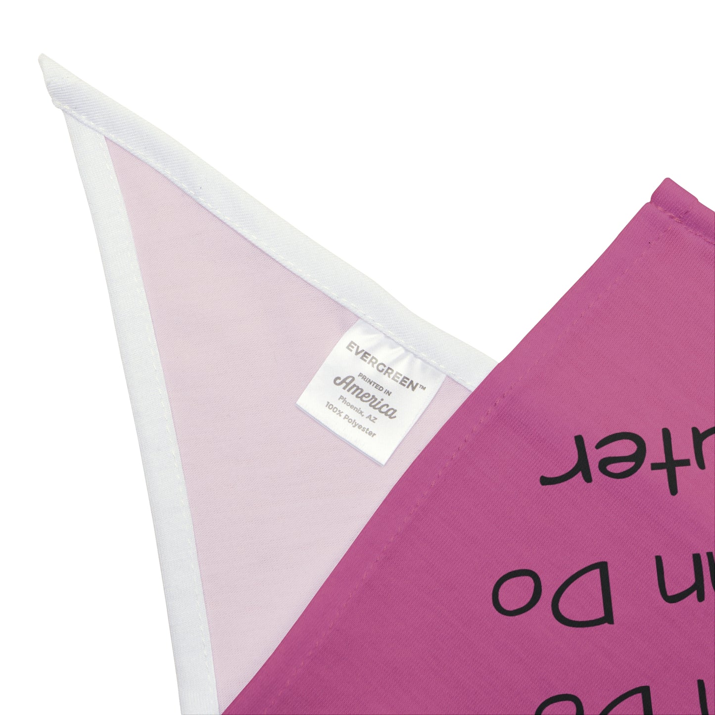 Anyfing You Can Do - Pink Bandana