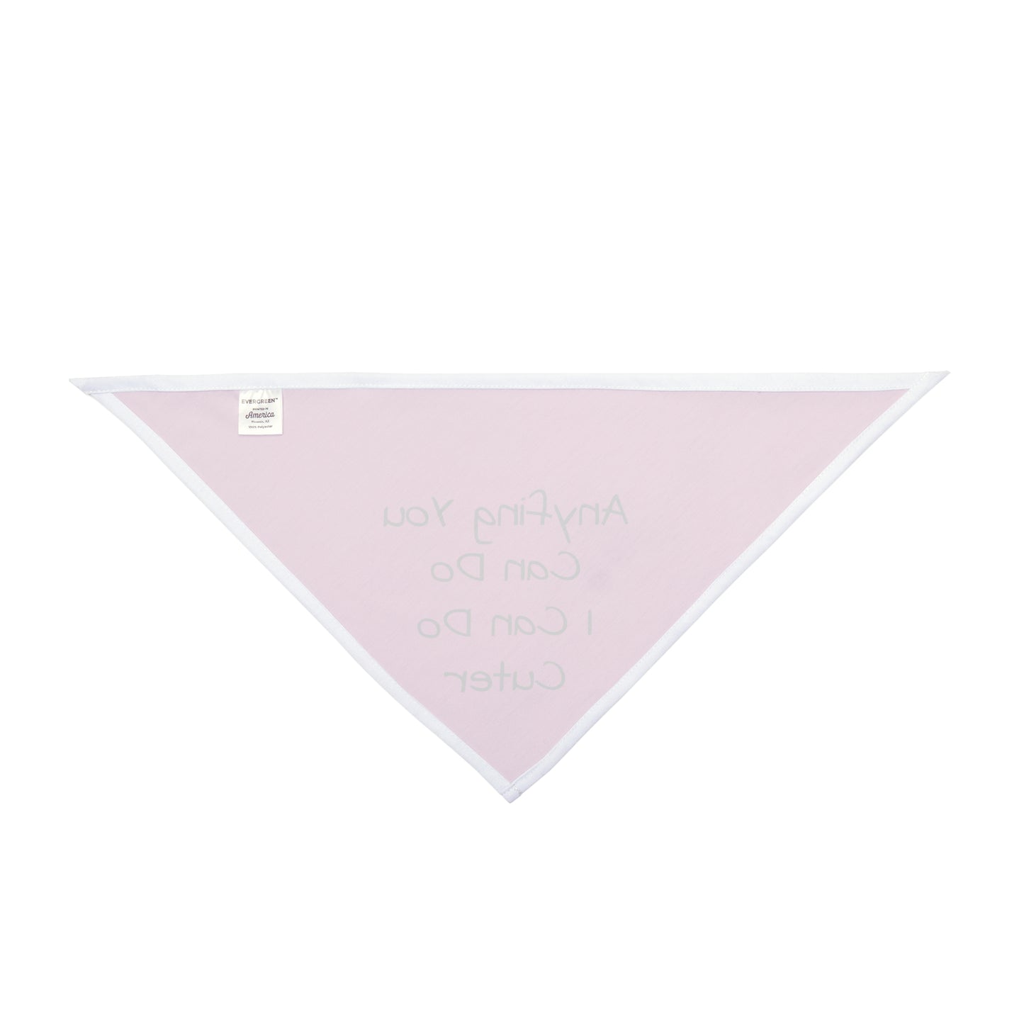 Anyfing You Can Do - Pink Bandana