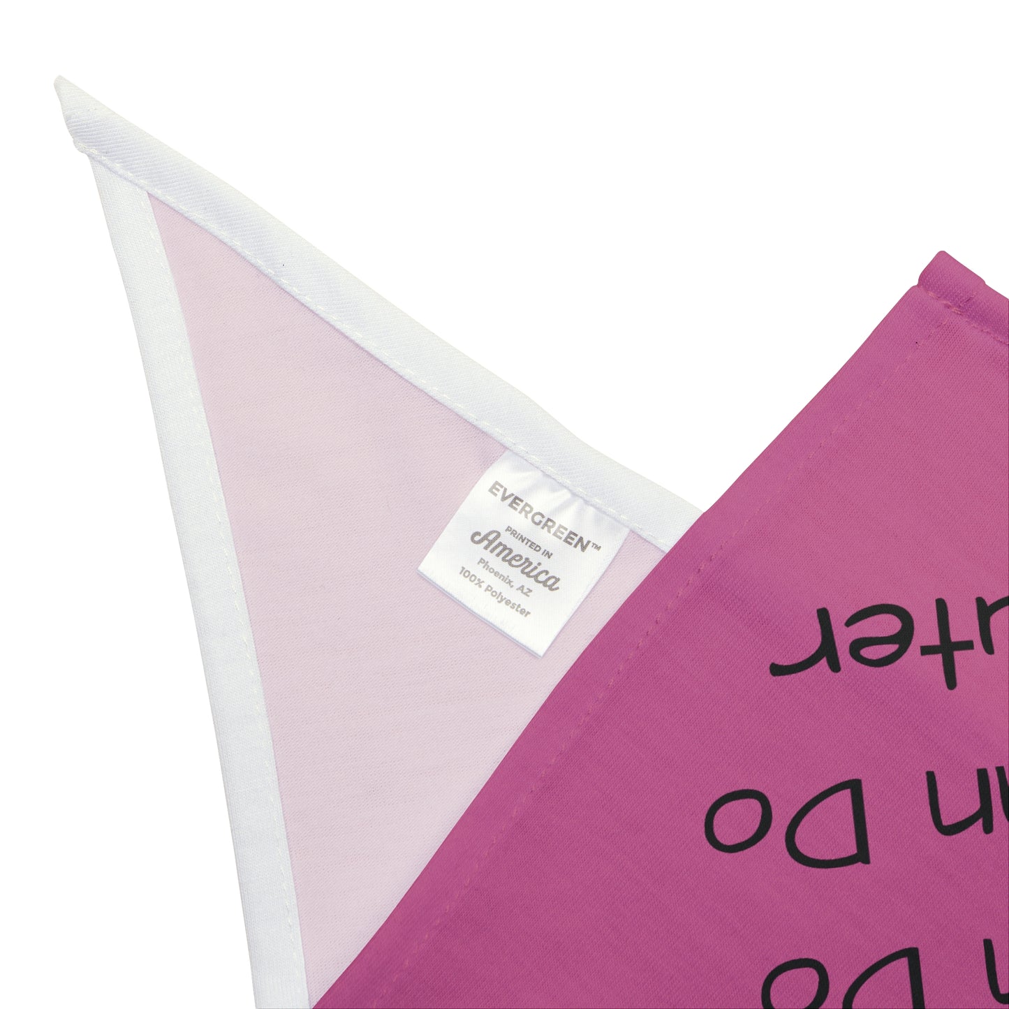 Anyfing You Can Do - Pink Bandana