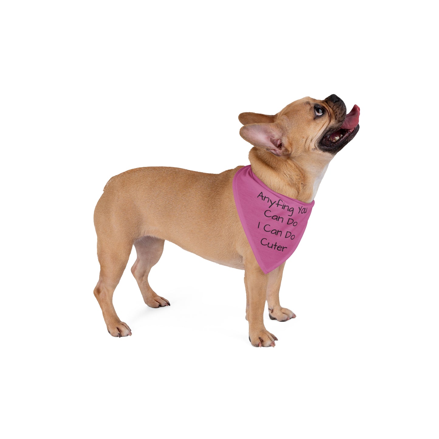 Anyfing You Can Do - Pink Bandana